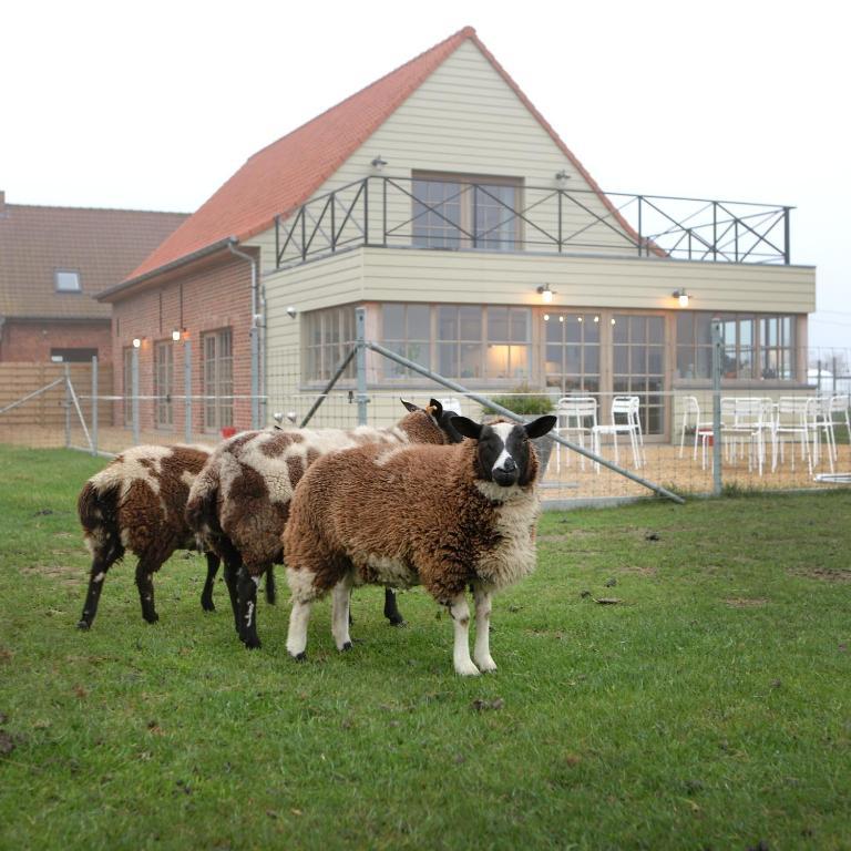 B&B Back2Front Boezinge Exterior foto